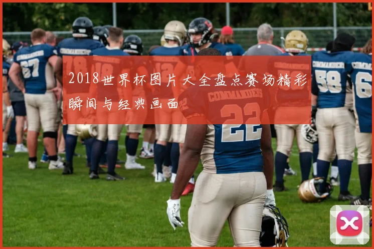 2018世界杯图片大全盘点赛场精彩瞬间与经典画面