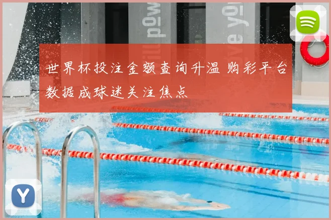 世界杯投注金额查询升温 购彩平台数据成球迷关注焦点