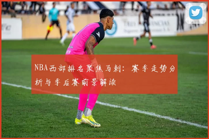 NBA西部排名聚焦马刺:赛季走势分析与季后赛前景解读